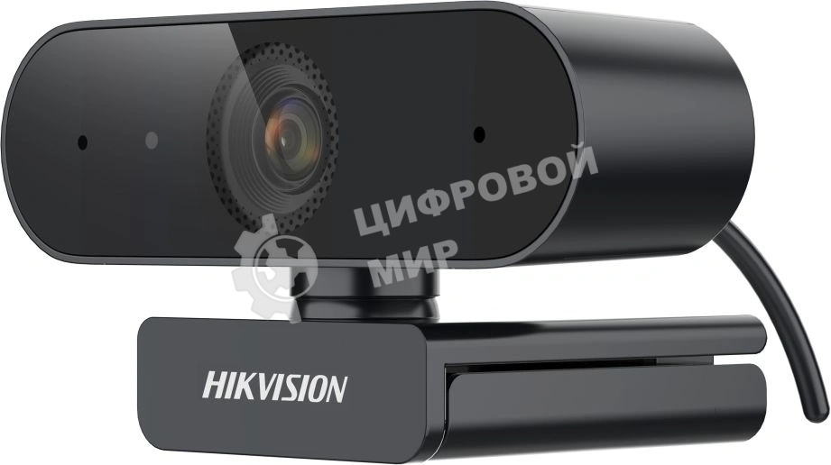 Камера Web Hikvision DS-U04 2K черный 4Mpix (2560x1440) USB2.0 с микрофоном