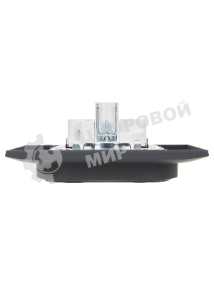 Розетка 2-местная IEK SKANDY SK-R08G (SK-R21-16-K53-F) с заземлением, без защитных шторок 16А в сборе, графит