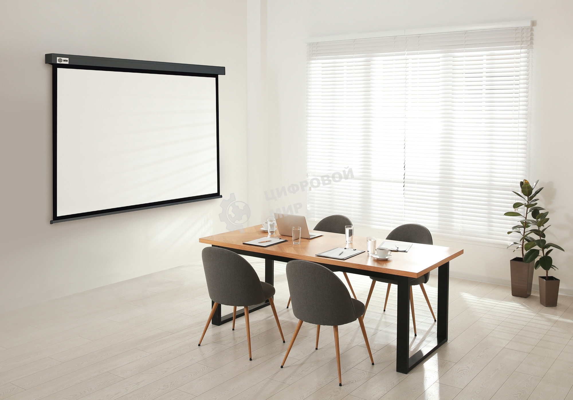 Экран Cactus 127x127см Wallscreen CS-PSW-127X127-SG 1:1 настенно-потолочный рулонный серый