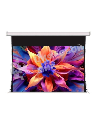 Экран для проектора S'OK SCPSMT-221x125ED30-GR 100 