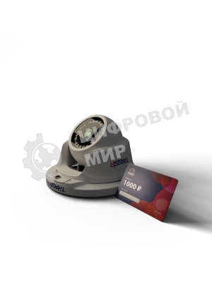 Cloud Outdoor Sphere (D) - Комплект TR-D2S5 v3 2.8 (D) + 6 месяцев записи архива в облако.