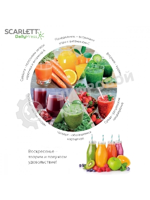 Соковыжималка шнековая Scarlett SC-JE50S59 белый