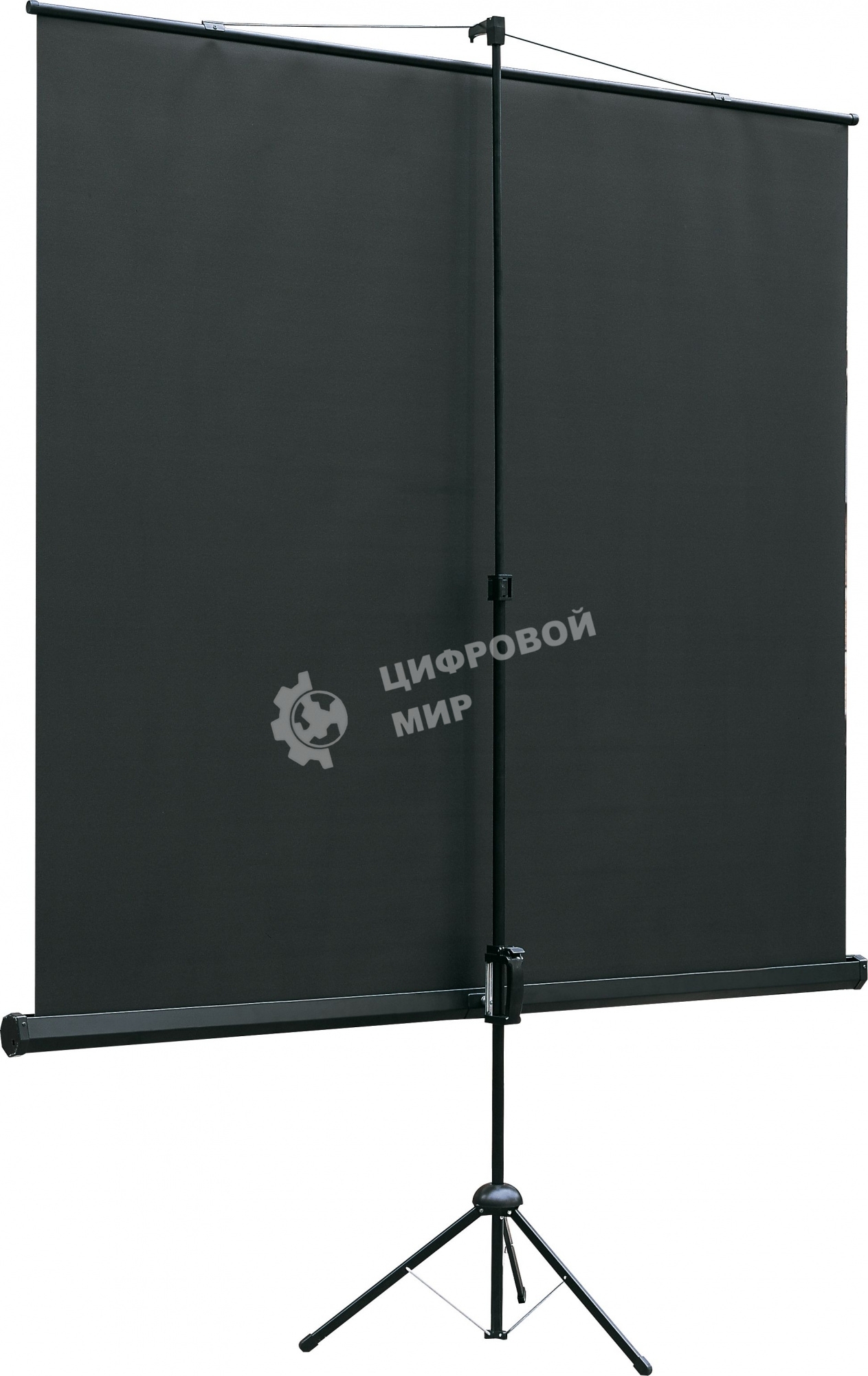 Экран на треноге Lumien 127x127см Eco View LEV-100104 1:1 напольный рулонный