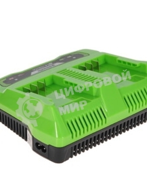 Зарядное устройство Greenworks G24X2UC2, 24V (2931907)