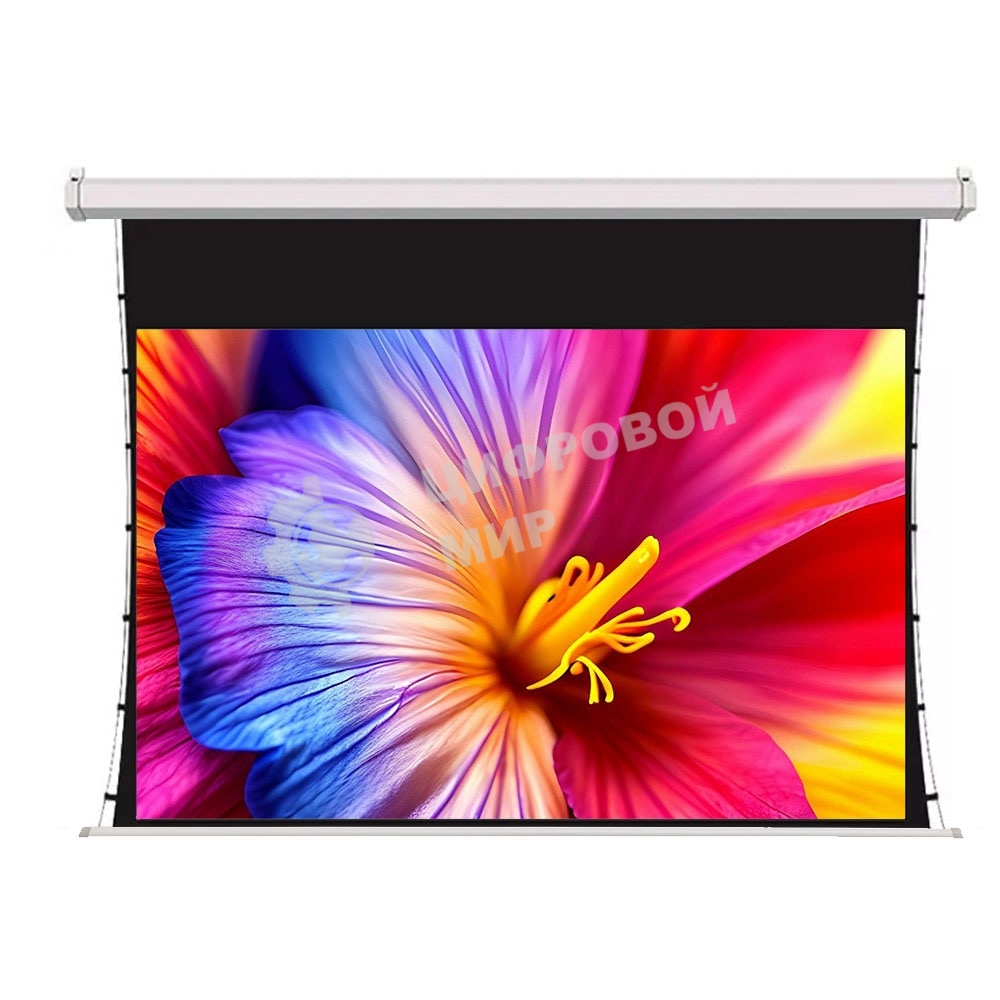 Экран для проектора S'OK SCPSMT-360x270FG-ED60 177 