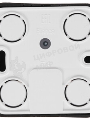 Розетка компьютерная 2-ая компьютерная RJ45, кат.5E, изол. пластина SE Blanca наруж Антрацит