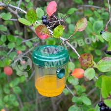 Ловушка для ос Rexant на солнечной батарее