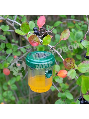 Ловушка для ос Rexant на солнечной батарее