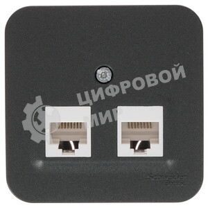 Розетка компьютерная 2-ая компьютерная RJ45, кат.5E, изол. пластина SE Blanca наруж Антрацит