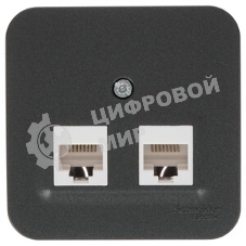 Розетка компьютерная 2-ая компьютерная RJ45, кат.5E, изол. пластина SE Blanca наруж Антрацит