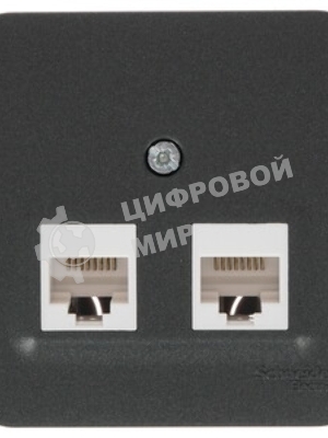 Розетка компьютерная 2-ая компьютерная RJ45, кат.5E, изол. пластина SE Blanca наруж Антрацит