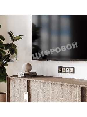 Розетка с заземлением, шторками и USBх2 (айвори матовый)