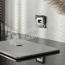 Накладка для двойной розетки Еthernet RJ-45 (серебряный)