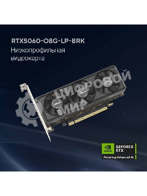 Видеокарта Asus GeForce RTX 5060 LP BRK, NVIDIA RTX 5060, 8Gb, GDDR7, 128 bit, PCI-E 5.0, HDMIx2, DPx1, HDCP, 2580 MHz