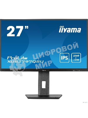 Монитор Iiyama 27