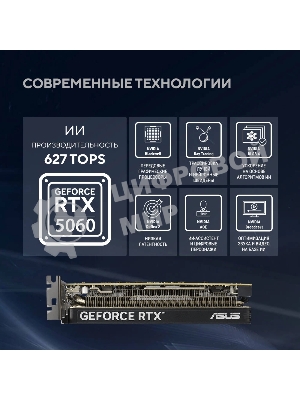 Видеокарта Asus GeForce RTX 5060 LP BRK, NVIDIA RTX 5060, 8Gb, GDDR7, 128 bit, PCI-E 5.0, HDMIx2, DPx1, HDCP, 2580 MHz