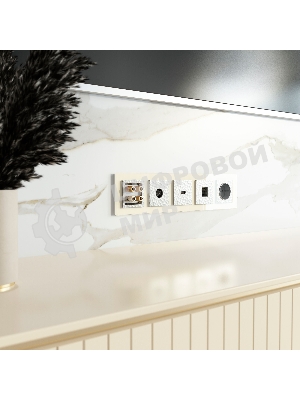 Розетка Ethernet RJ-45 (серебряный)