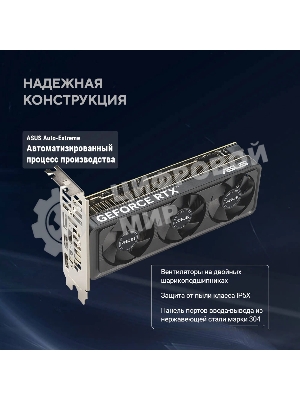 Видеокарта Asus GeForce RTX 5060 LP BRK, NVIDIA RTX 5060, 8Gb, GDDR7, 128 bit, PCI-E 5.0, HDMIx2, DPx1, HDCP, 2580 MHz