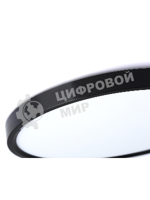 Потолочный светодиодный светильник Ambrella light FZ3055 BK черный IP44 33W+10W 6400+6400К D370*40 (Без ПДУ)