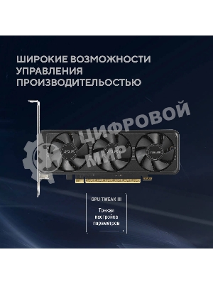 Видеокарта Asus GeForce RTX 5060 LP BRK, NVIDIA RTX 5060, 8Gb, GDDR7, 128 bit, PCI-E 5.0, HDMIx2, DPx1, HDCP, 2580 MHz