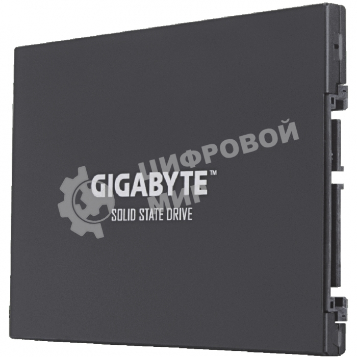 Накопитель SSD Gigabyte, 256Gb, 2.5