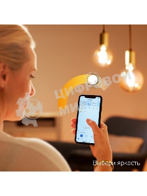 Лампа светодиодная филаментная Gauss Smart Home DIM E27 ST64 Golden 7 Вт 1/10/40