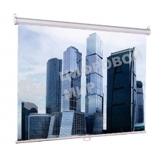 Экраны LUMIEN Eco Picture LEP-100101, 150х150 см, 1:1