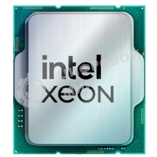 Процессор Intel Xeon 3300/18M FCLGA16A E-2456 CM8071505024905 IN