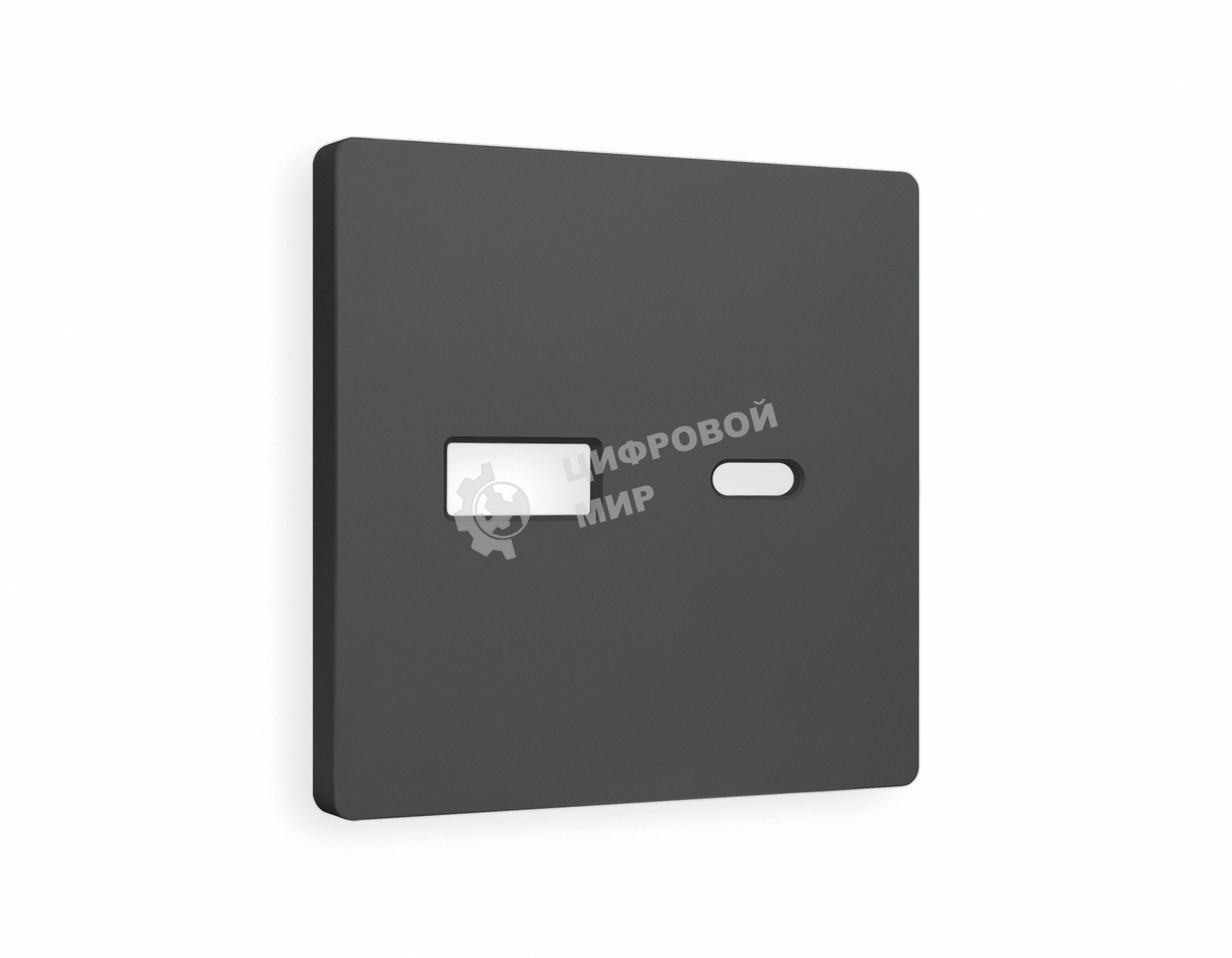 Лицевая панель ALFA (Графит Мягкое касание) для розетки 2USB тип A+C QUANT AP9110
