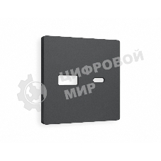 Лицевая панель ALFA (Графит Мягкое касание) для розетки 2USB тип A+C QUANT AP9110