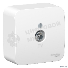 Коннектор Schneider Electric BLNTA000011 TV ОП Blanca изол. пласт. бел.