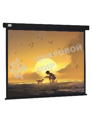 Экран Cactus 150x150см Wallscreen CS-PSW-150X150-BK 1:1 настенно-потолочный рулонный черный