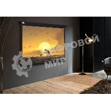 Экран Cactus 150x150см Wallscreen CS-PSW-150X150-BK 1:1 настенно-потолочный рулонный черный