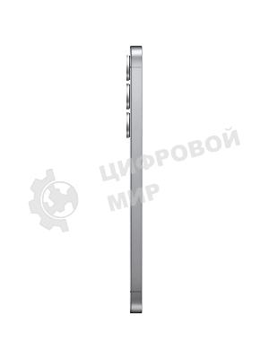 Смартфон Samsung Galaxy S25+, 12/256Gb, серый