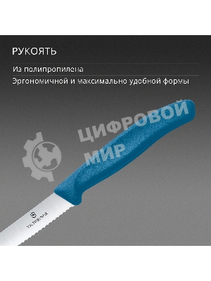 Нож кухонный Victorinox Swiss Classic 6.7832.C1 стальной столовый лезв. 110 мм серрейт. заточка синий