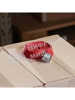 Ремень Rexant для крепления груза с фиксатором, 2.5 м