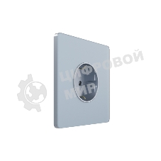 Systeme Electric Systeme Infinity Стальное небо Розетка с заземлением со шторками, 16А