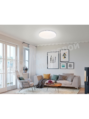 Светодиодный светильник RGB Ambrella light FZ417 WH белый IP20 46W 3000K-6500K+RGB D380*60 (ПДУ ИК)
