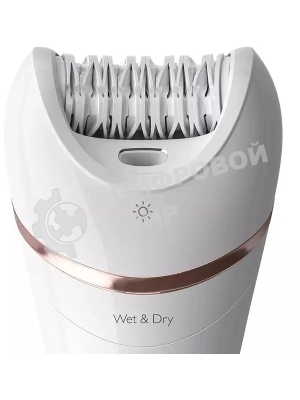 Эпилятор Philips Series 8000 BRE720/01 (требуется адаптер)