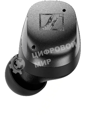 Наушники TWS Sennheiser MOMENTUM True Wireless 4 черный/графит, внутриканальные, Bluetooth, активное шумоподавление, беспроводная зарядка, до 7.5 ч