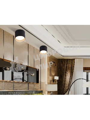 Светильник Ambrella light TN5306 BK/GD черный/золото GX53 max 15W D83*65