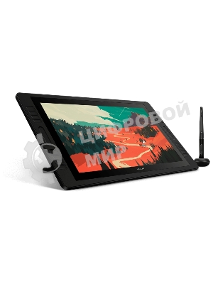 Графический монитор Huion Kamvas Pro 20 (2019), 19.5