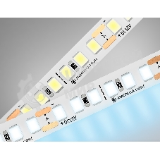 Светодиодная лента Ambrella light GS1303 2835 180Led/ 14.4W m/ 12V IP20 6500K/ 5000*8*1.2mm (2 конт.)