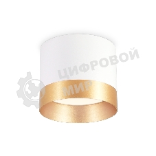 Светильник Ambrella light TN5315 WH/GD белый/золото GX53 D82*70