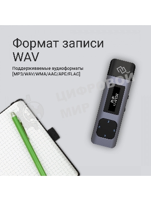 Диктофон Цифровой Digma DiVoice RV50 8Gb черный