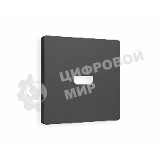 Лицевая панель ALFA (Графит Мягкое касание) для HDMI розетки QUANT AP9140