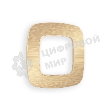Рамка OMEGA Radian (Шампань Металл шлифованный) 1-ая OF580301