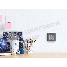 Розетка 2К+З немецкий стандарт 16А 250В с зарядным устройством USB C 1.5А 5В алюминий