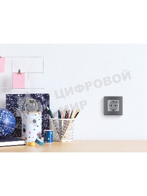 Розетка 2К+З немецкий стандарт 16А 250В с зарядным устройством USB C 1.5А 5В алюминий