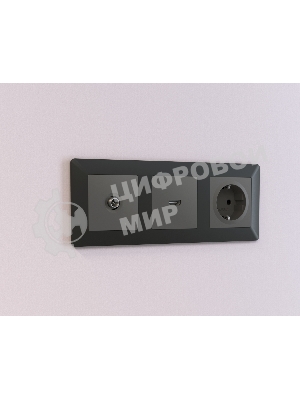 Лицевая панель ALFA (Графит Мягкое касание) для HDMI розетки QUANT AP9140